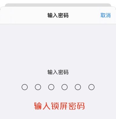 输入锁屏密码